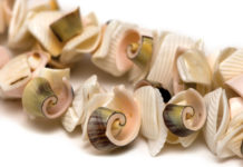 Creare gioielli naturali 739 0 077 Creare gioielli naturali